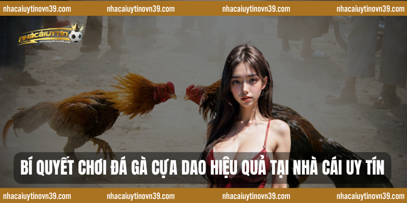 Bí quyết chơi đá gà cựa dao hiệu quả tại nhà cái uy tín