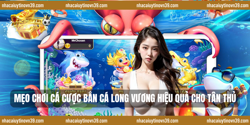 Mẹo chơi cá cược bắn cá Long Vương hiệu quả cho tân thủ
