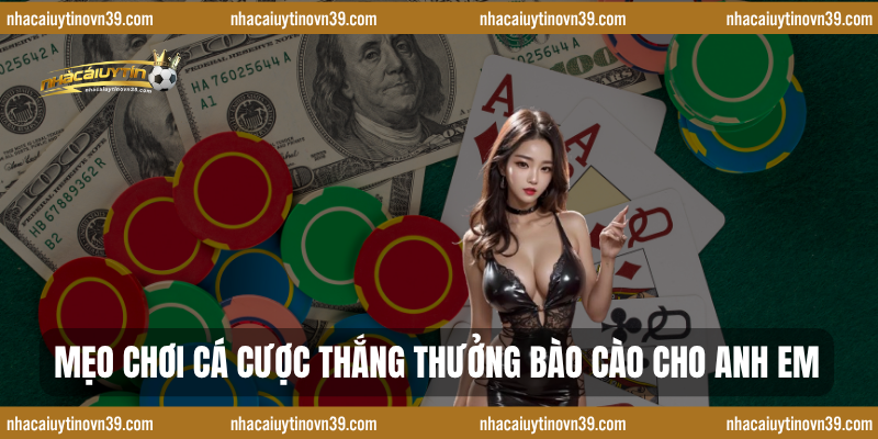 Mẹo chơi cá cược thắng thưởng bào cào cho anh em