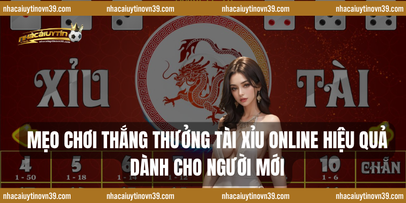 Mẹo Chơi Thắng Thưởng Tài Xỉu Online Hiệu Quả Dành Cho Người Mới