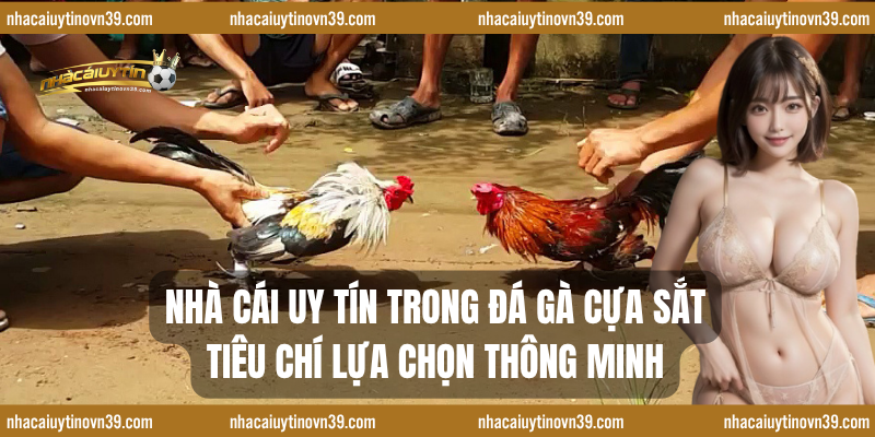 Nhà cái uy tín trong đá gà cựa sắt – Tiêu chí lựa chọn thông minh